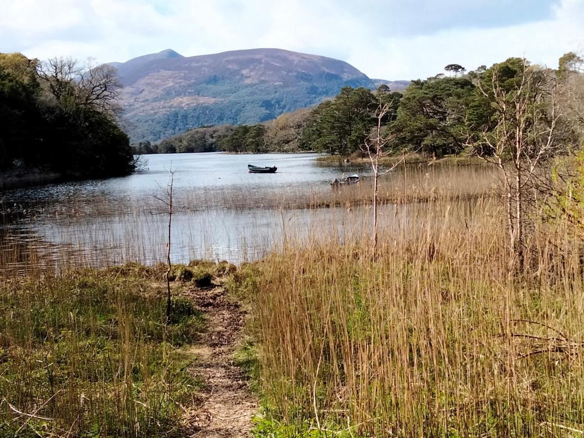 Larkfield House B&B, Ballycasheen Kerry V93 Wd51 킬라니 외부 사진