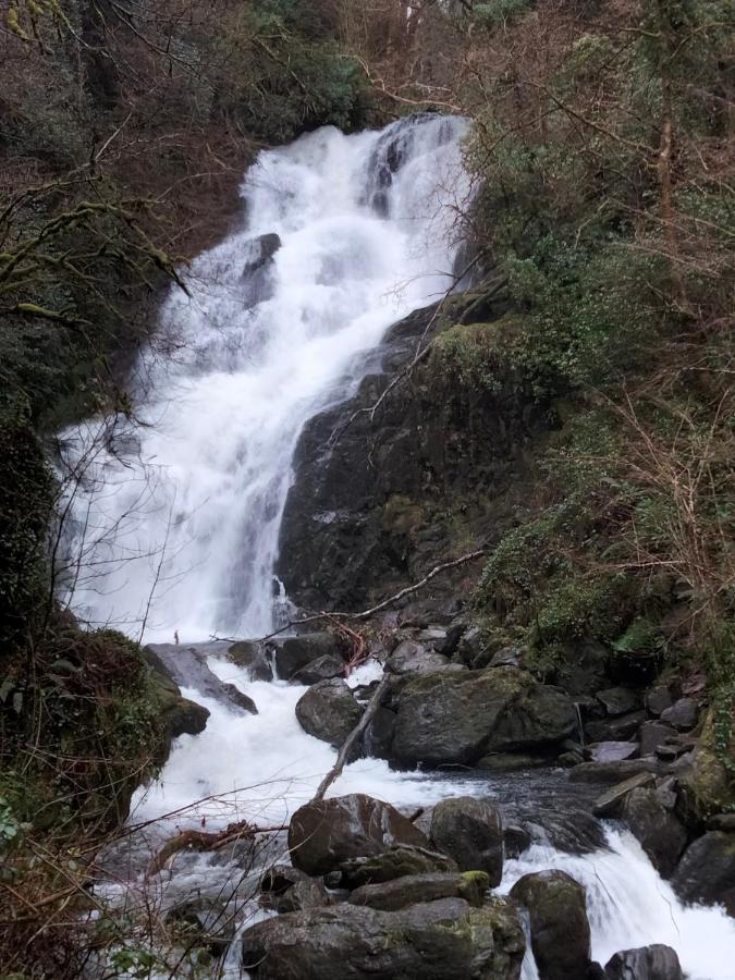 Larkfield House B&B, Ballycasheen Kerry V93 Wd51 킬라니 외부 사진