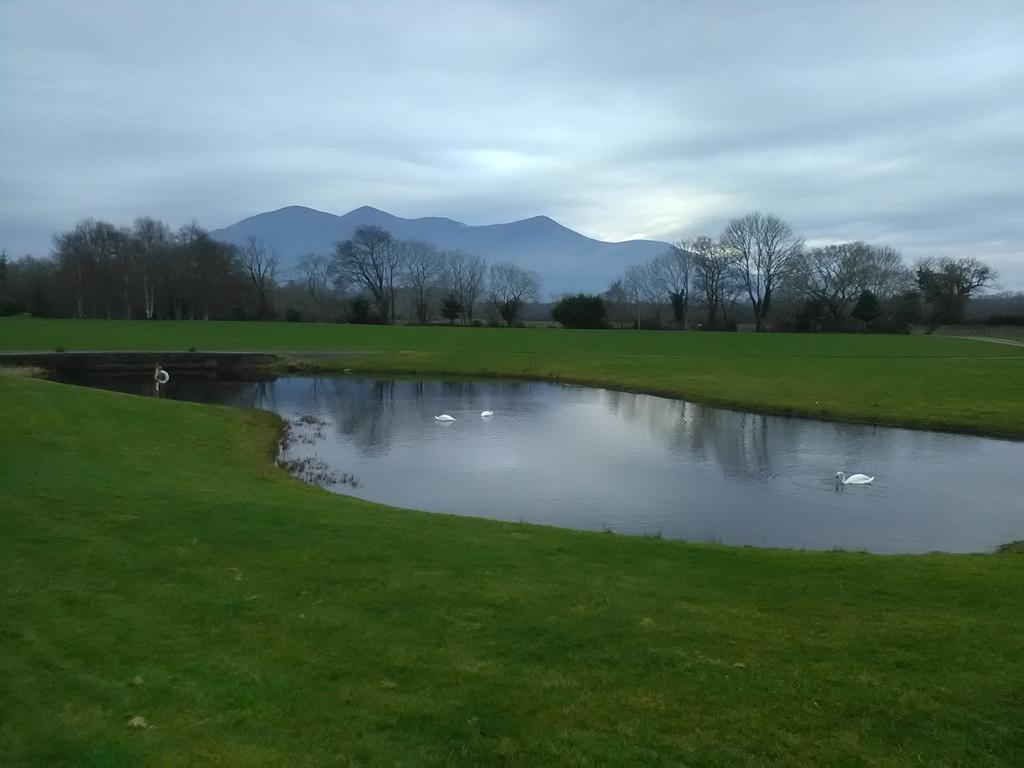 Larkfield House B&B, Ballycasheen Kerry V93 Wd51 킬라니 외부 사진