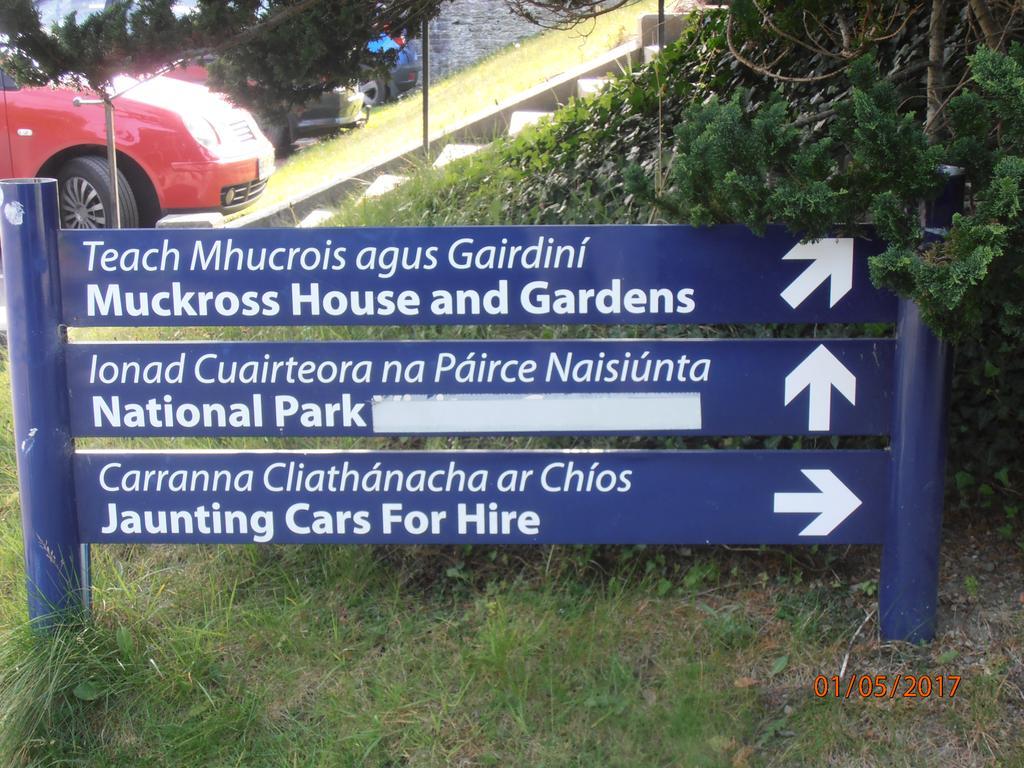 Larkfield House B&B, Ballycasheen Kerry V93 Wd51 킬라니 외부 사진