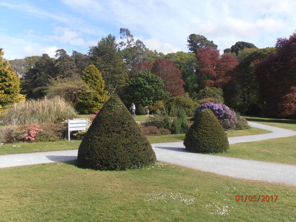 Larkfield House B&B, Ballycasheen Kerry V93 Wd51 킬라니 외부 사진