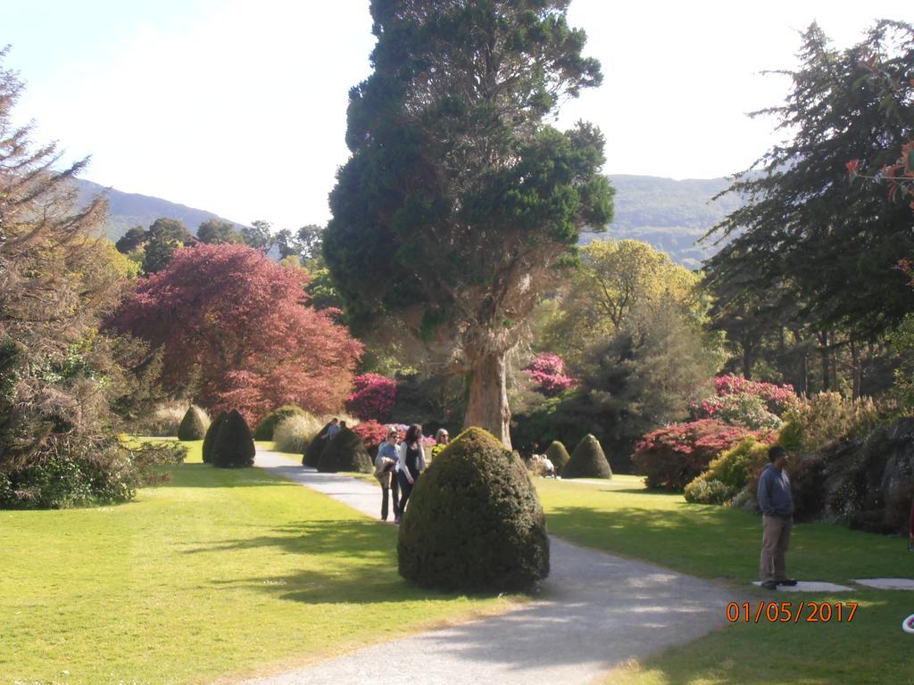 Larkfield House B&B, Ballycasheen Kerry V93 Wd51 킬라니 외부 사진